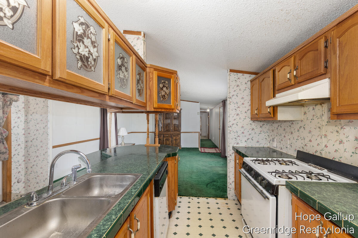 360 E Tuttle Road UNIT&nbsp;183, Ionia, MI, 48846