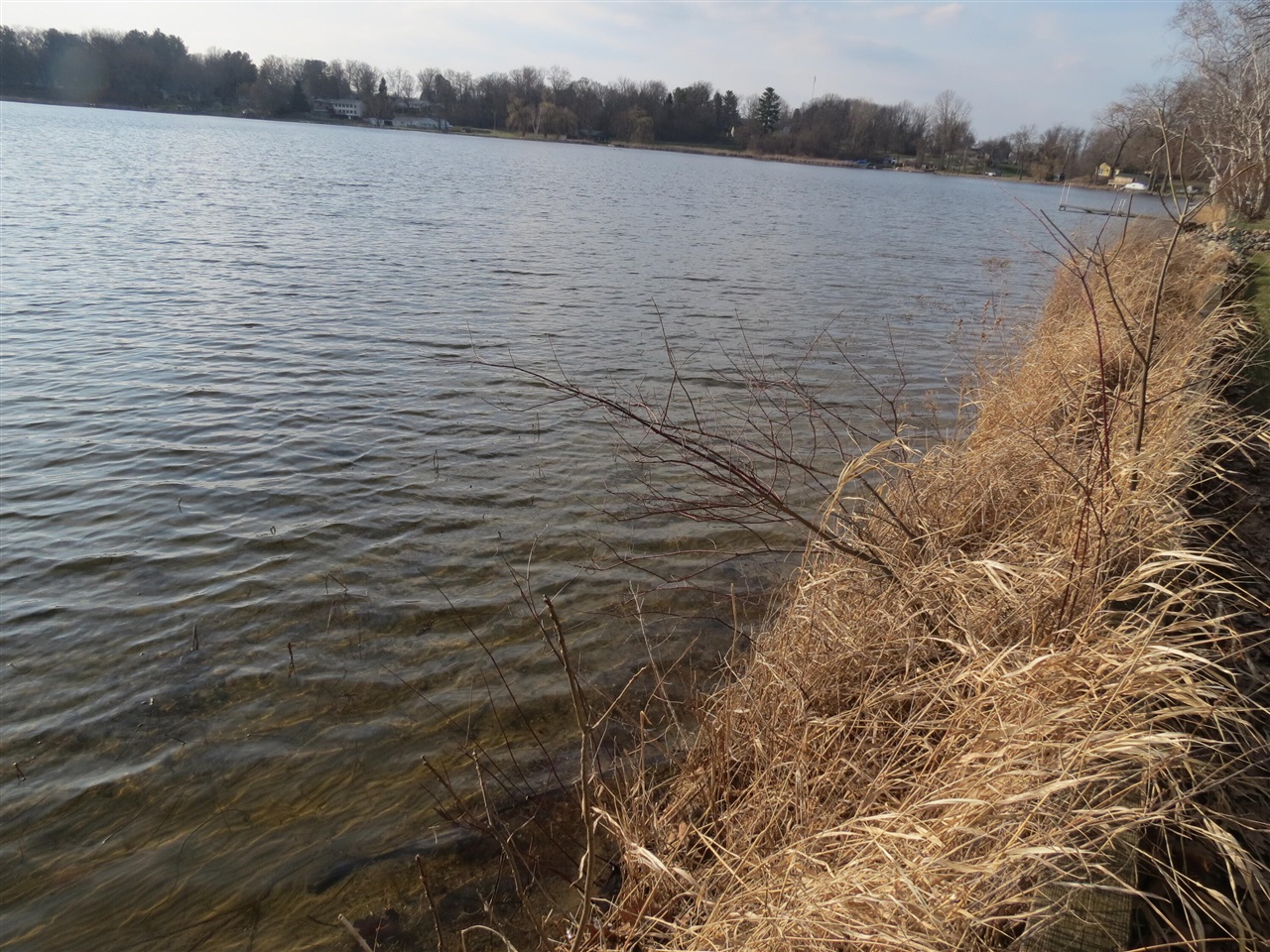 890 White Lake Road, Pleasant Lake, MI, 49272-9753