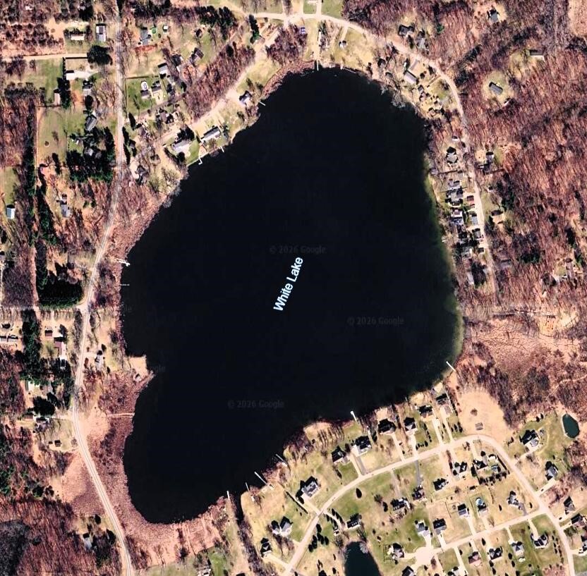 890 White Lake Road, Pleasant Lake, MI, 49272-9753