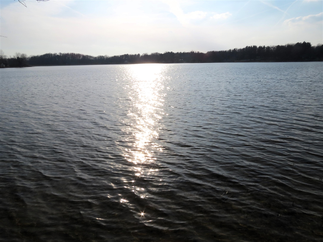 890 White Lake Road, Pleasant Lake, MI, 49272-9753