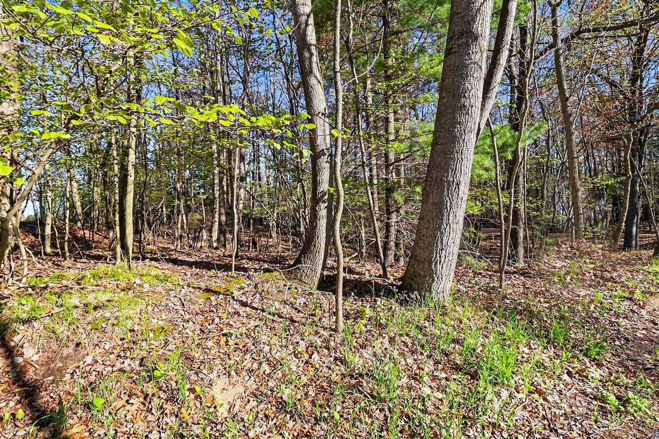 Photo 3 of Land for sale at Lot 11 Silver Ridge Rd, Mears, MI 49436 | MLS# 70520555 | Listing updated on 2026-10-06