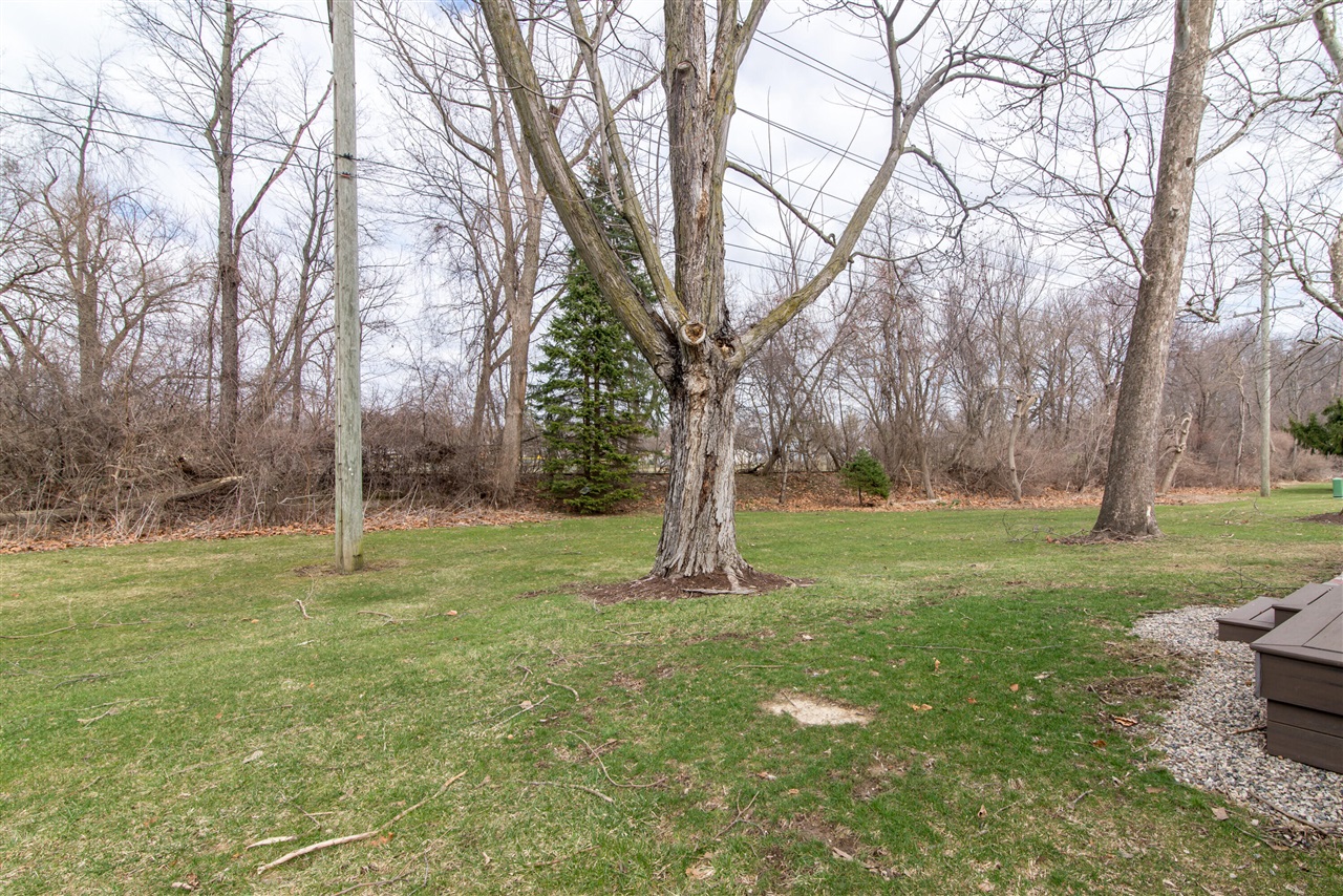 527 Park Place, Saline, MI, 48176-1264