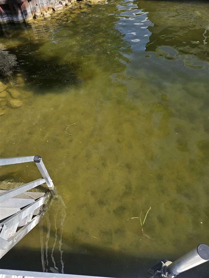 147 Dons Drive, Quincy, MI, 49082-8538