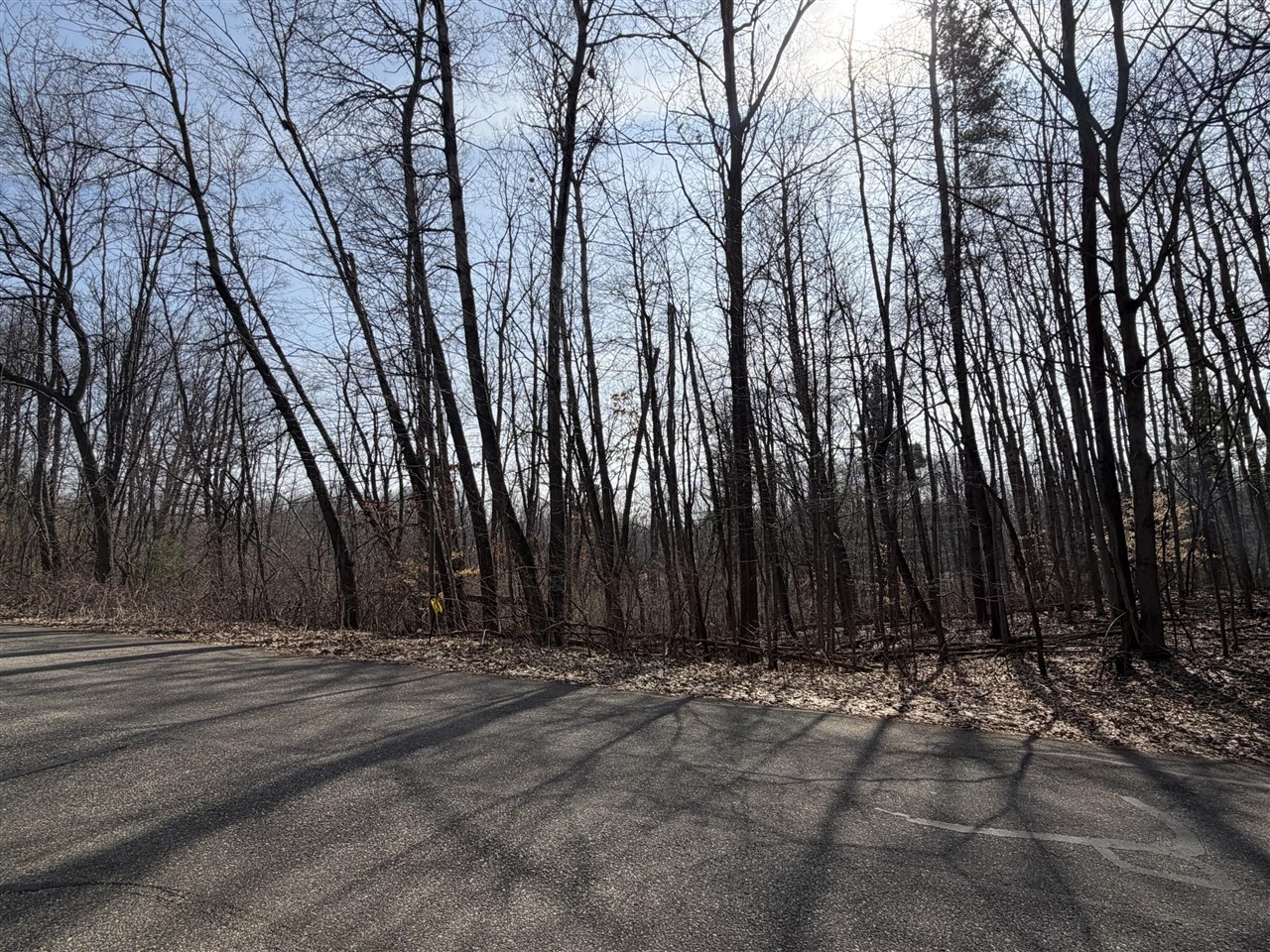 Homes for sale in Gowen, MI | 12952 Bowen Lake Dr, Gowen, MI 49326 | MLS# 70520673