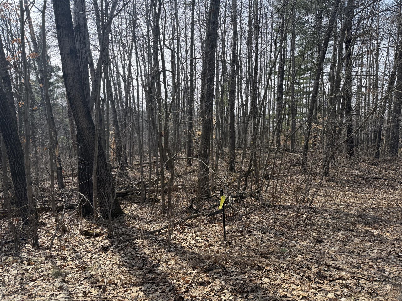 Homes for sale in Gowen, MI | 12952 Bowen Lake Dr, Gowen, MI 49326 | MLS# 70520673