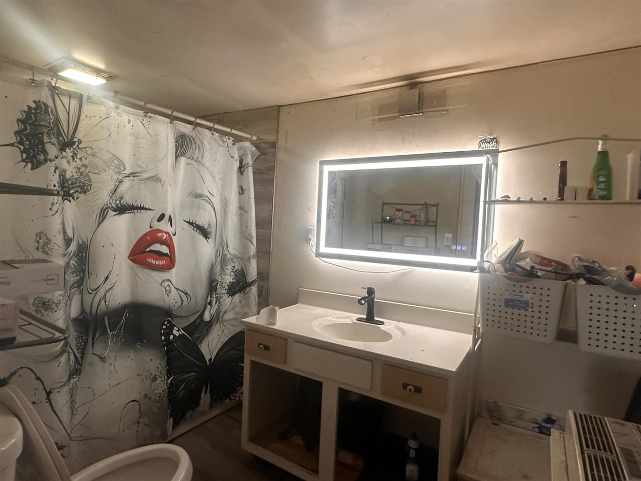 505 Bidwell Street, Albion, MI, 49224-1867