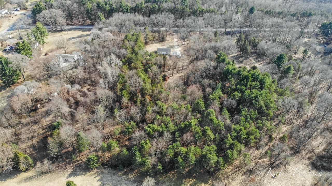 3501 15 Mile Road, Cedar Springs, MI, 49319-9184