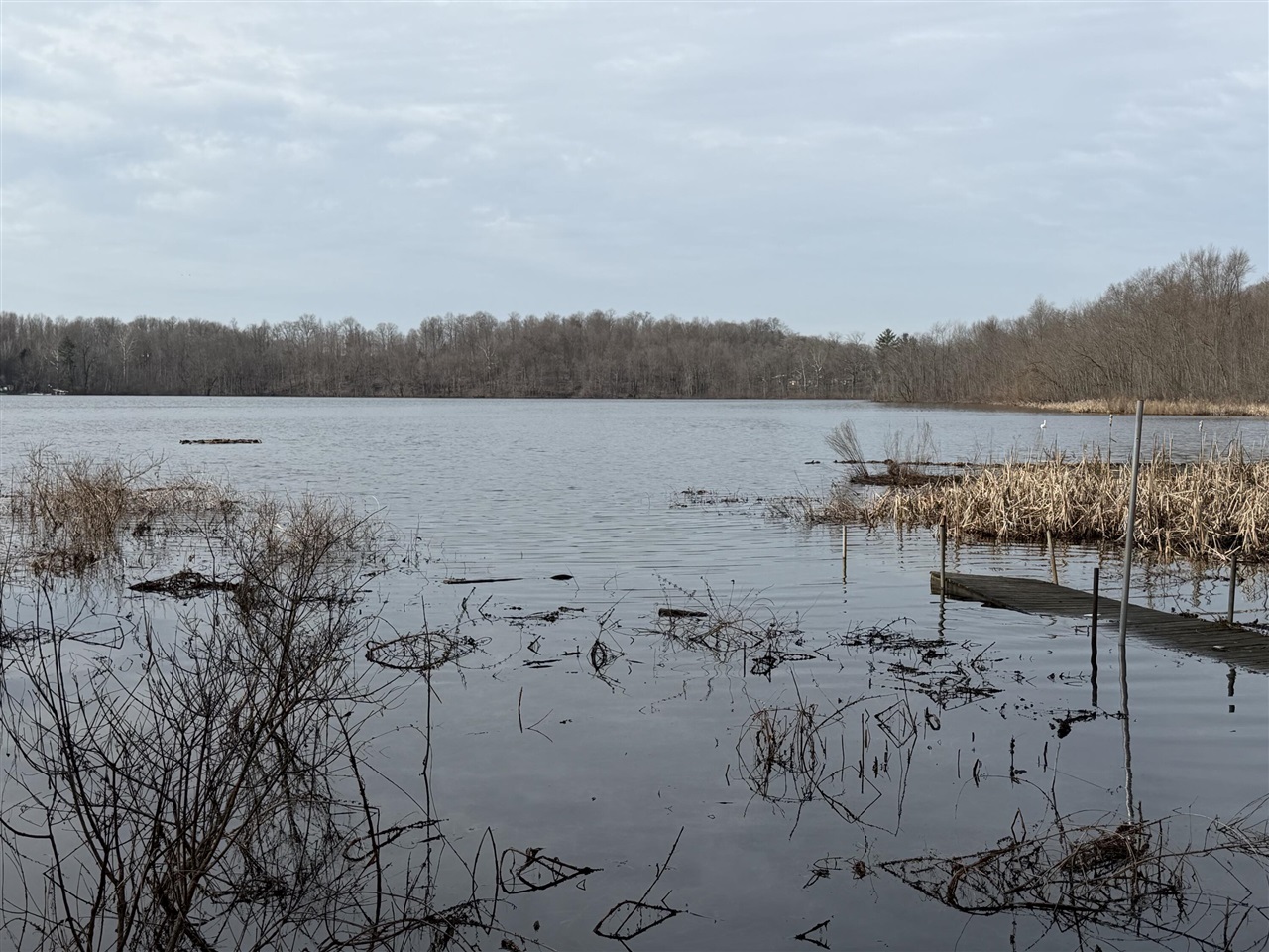 V/L 38th Street, Gobles, MI, 49055
