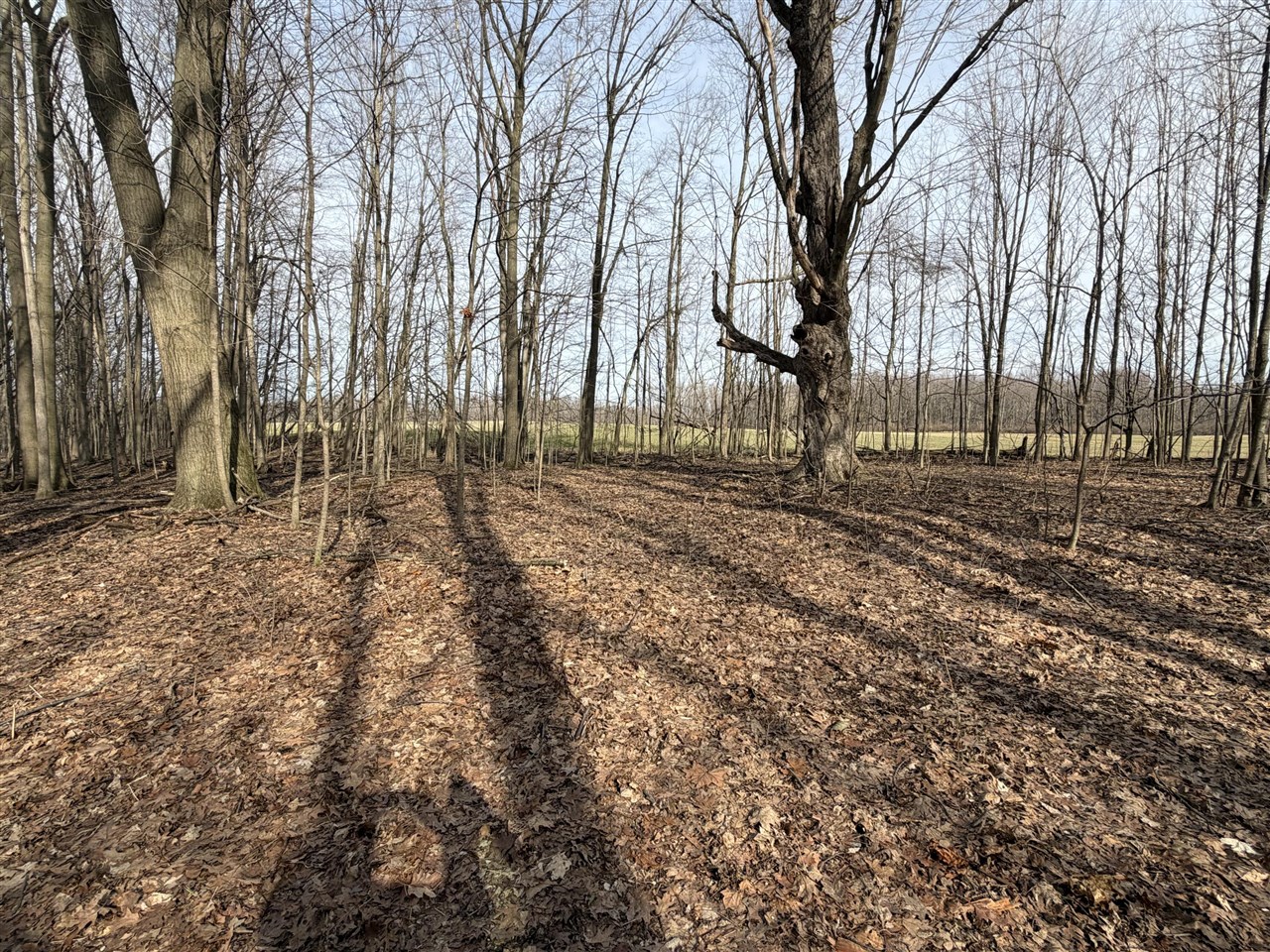 V/L 38th Street, Gobles, MI, 49055