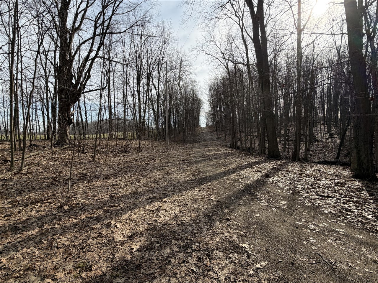 V/L 38th Street, Gobles, MI, 49055