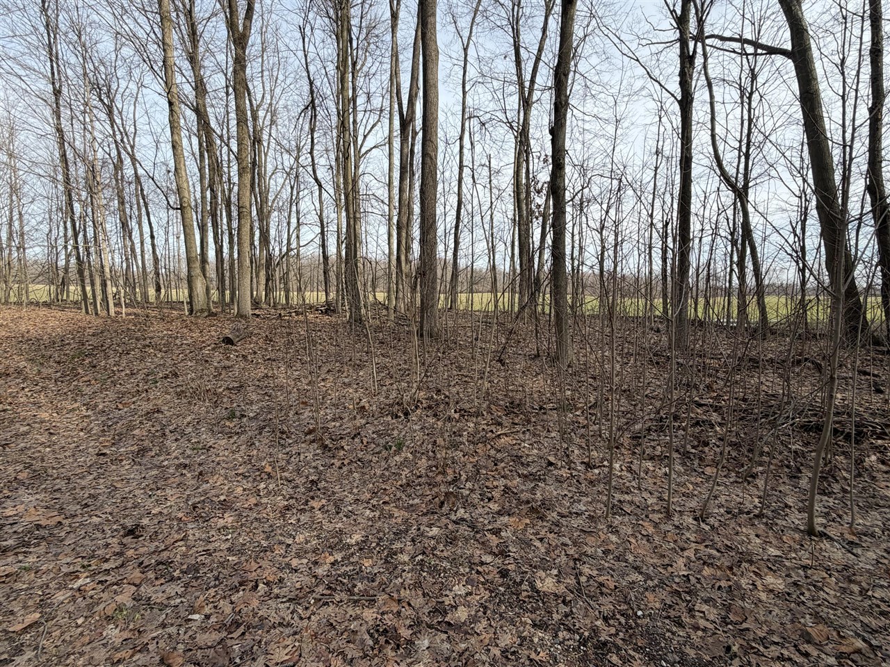 V/L 38th Street, Gobles, MI, 49055