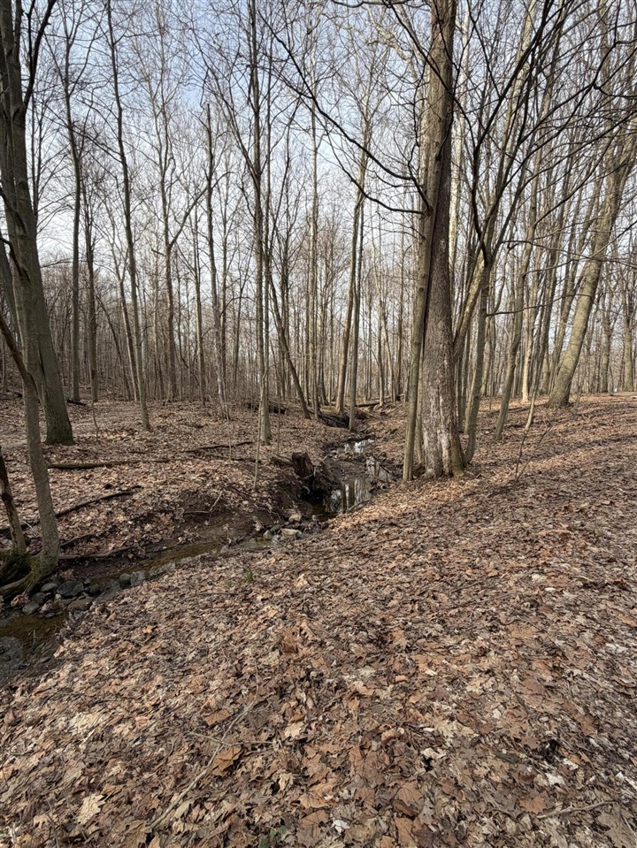 V/L 38th Street, Gobles, MI, 49055
