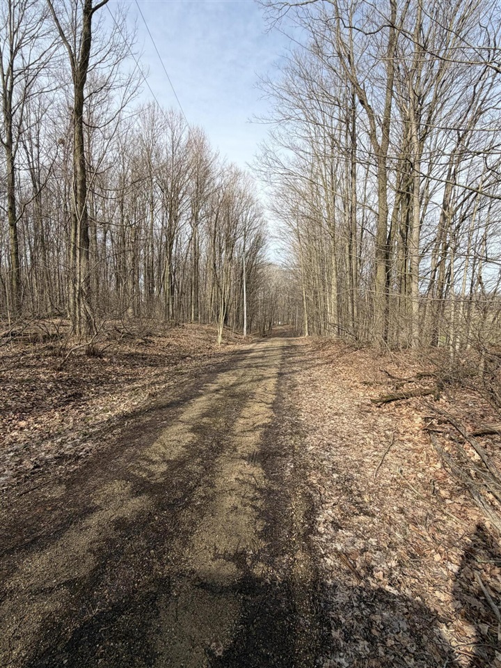 V/L 38th Street, Gobles, MI, 49055