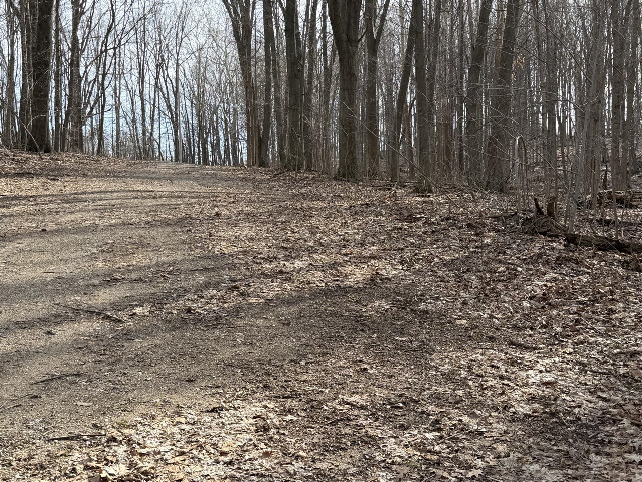 V/L 38th Street, Gobles, MI, 49055