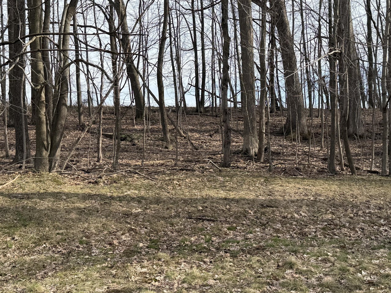 V/L 38th Street, Gobles, MI, 49055