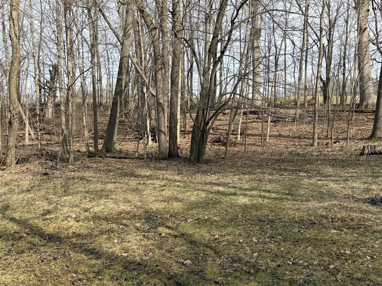 V/L 38th Street, Gobles, MI, 49055