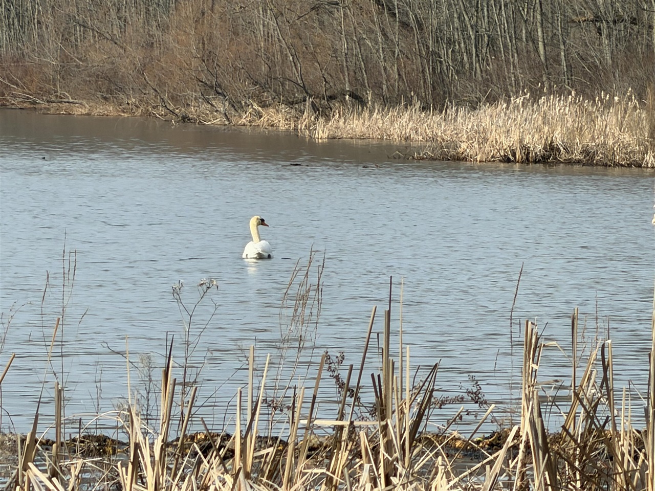 V/L 38th Street, Gobles, MI, 49055