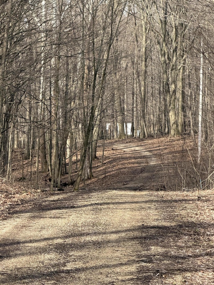 V/L 38th Street, Gobles, MI, 49055