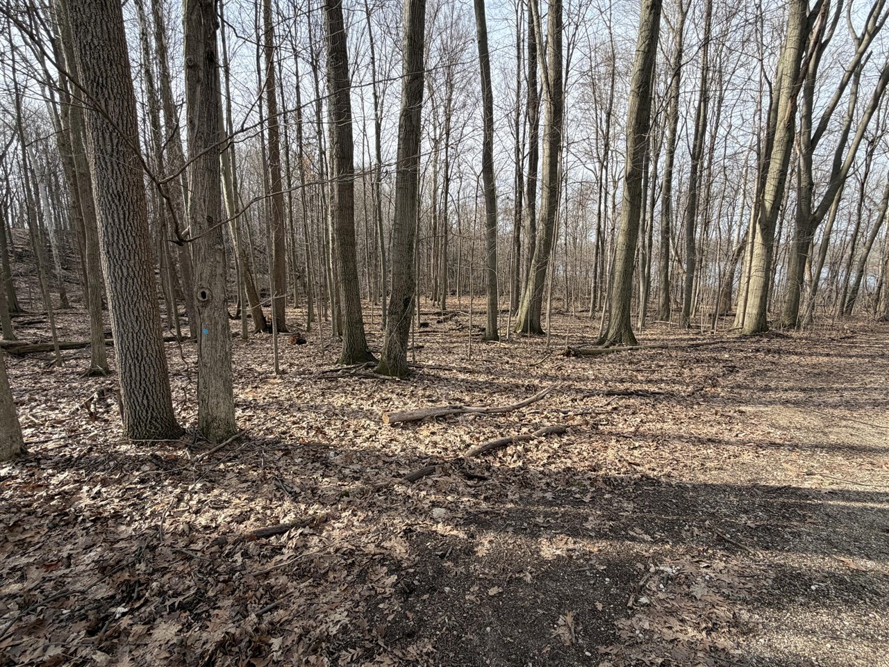 V/L 38th Street, Gobles, MI, 49055