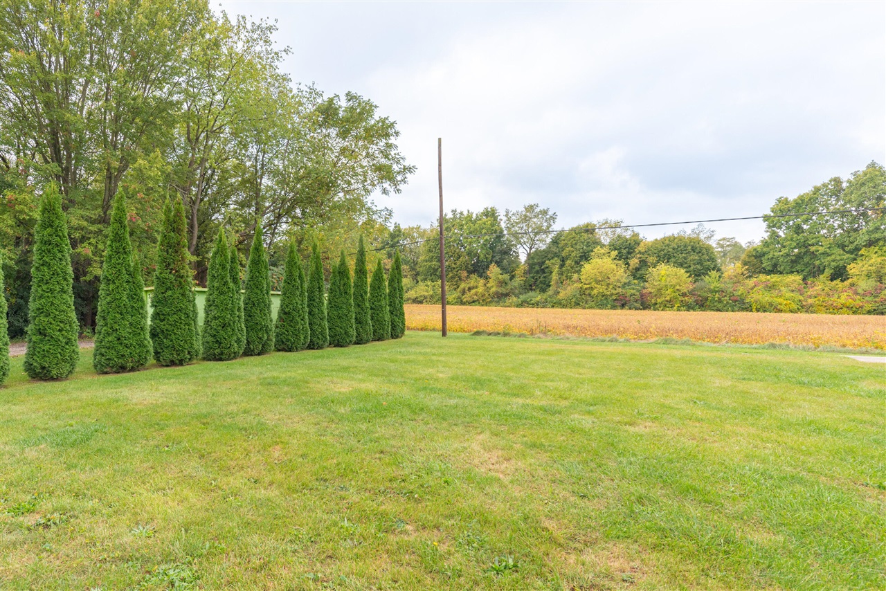 3811 Pat Street, Ypsilanti, MI, 48197-9003