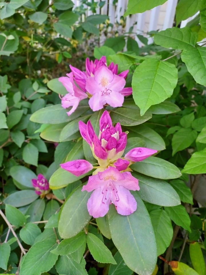 100 Westwood Street, Hillsdale, MI, 49242-1120