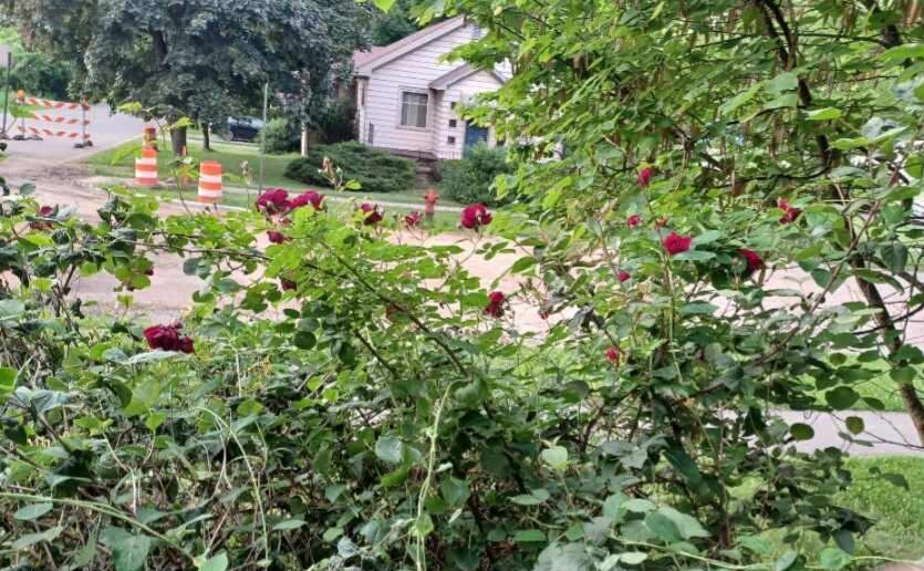 100 Westwood Street, Hillsdale, MI, 49242-1120