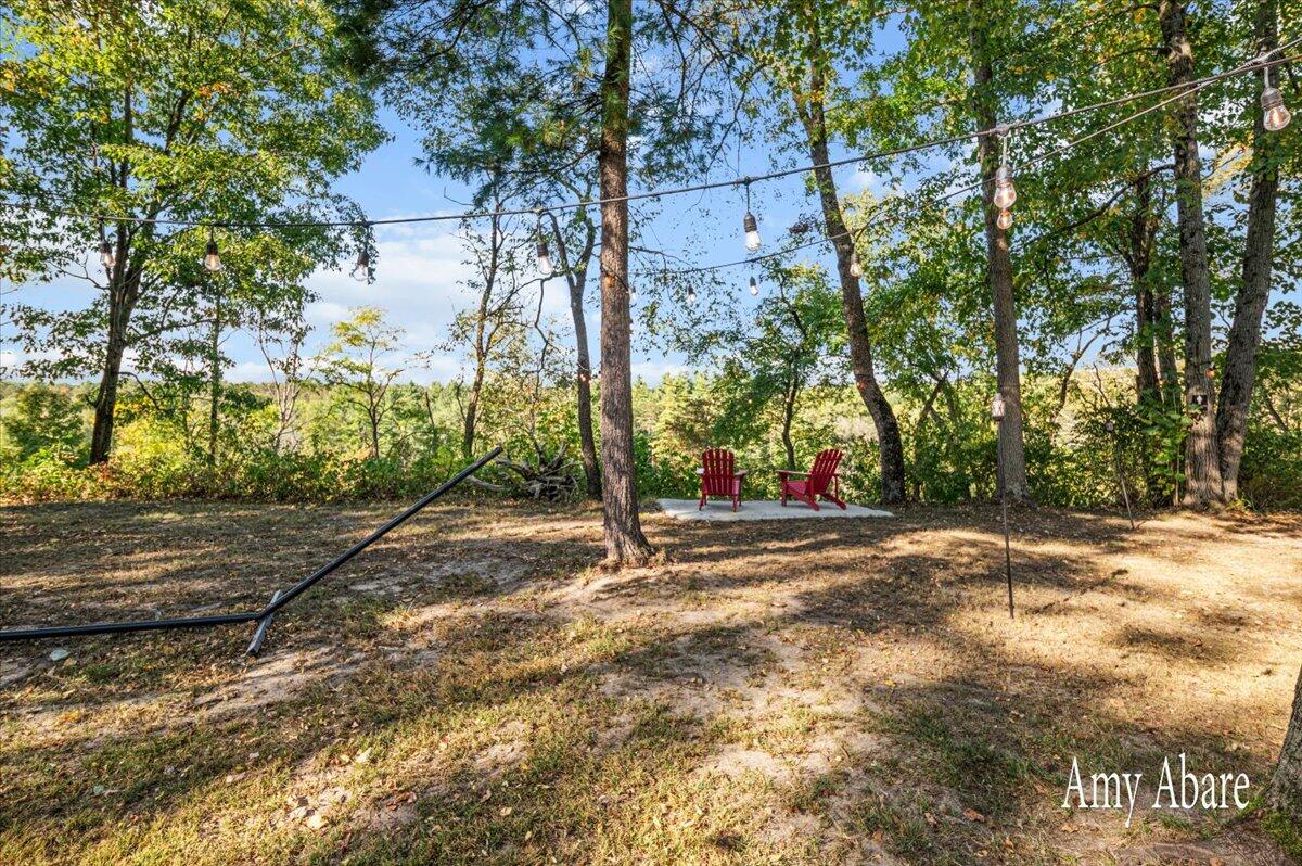 19768 Lincoln Road, Stanwood, MI, 49346