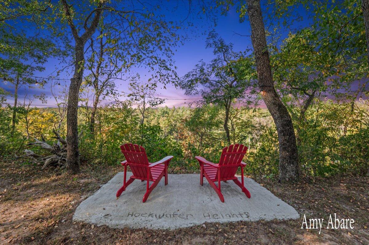 19768 Lincoln Road, Stanwood, MI, 49346