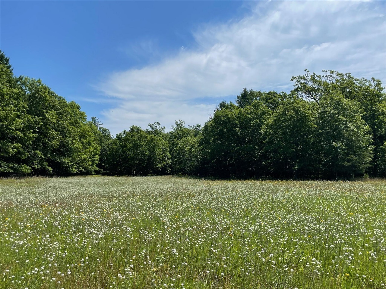 10652 N River Road, Irons, MI, 49644