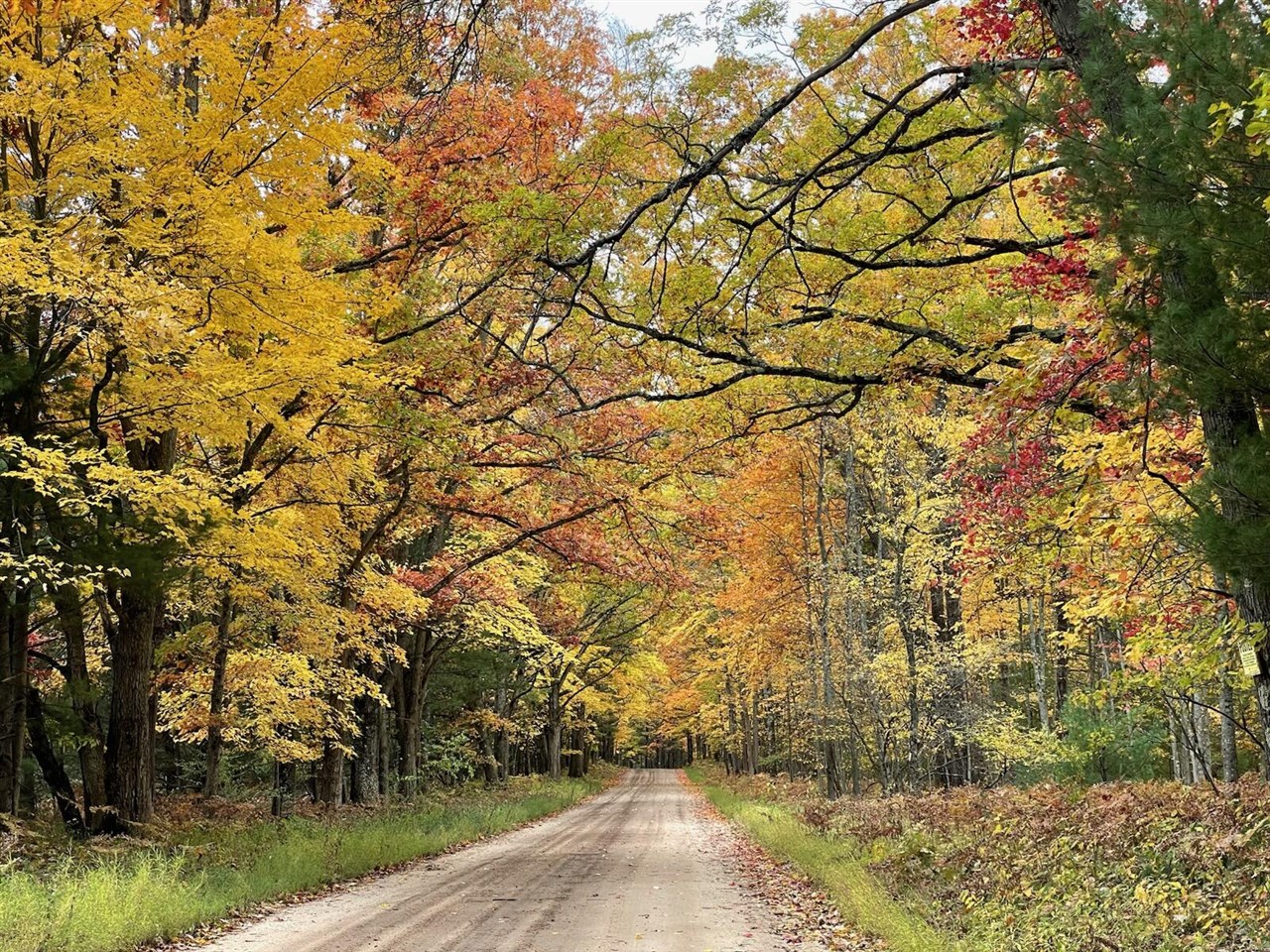 10652 N River Road, Irons, MI, 49644