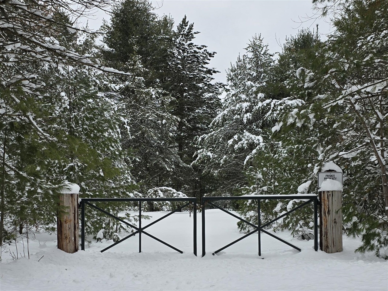 10652 N River Road, Irons, MI, 49644