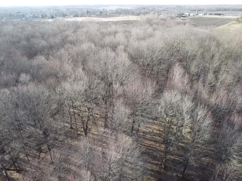 Vl E Dodge Rd, Clio, MI, 48420