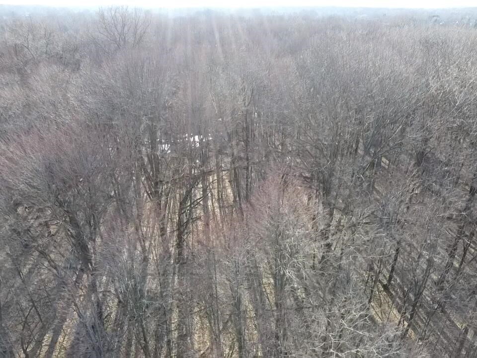 Vl E Dodge Rd, Clio, MI, 48420