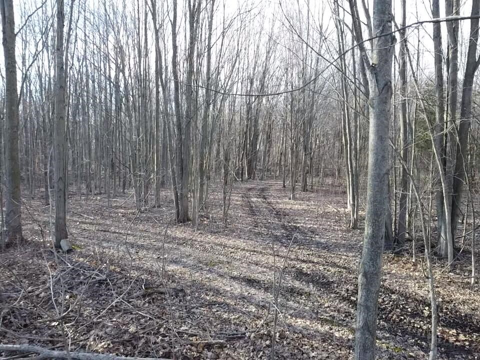 Vl E Dodge Rd, Clio, MI, 48420