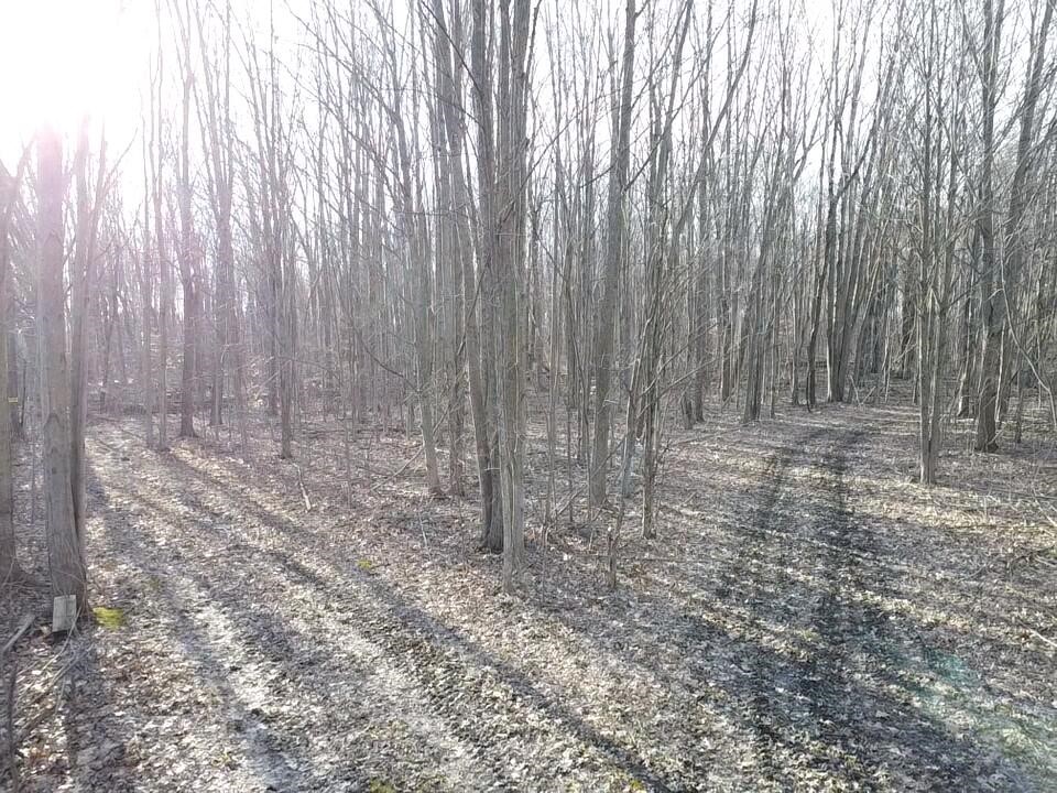 Vl E Dodge Rd, Clio, MI, 48420