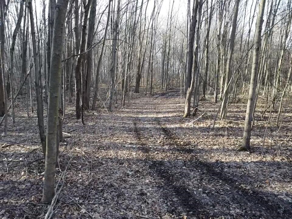 Vl E Dodge Rd, Clio, MI, 48420