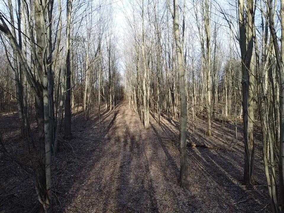 Vl E Dodge Rd, Clio, MI, 48420