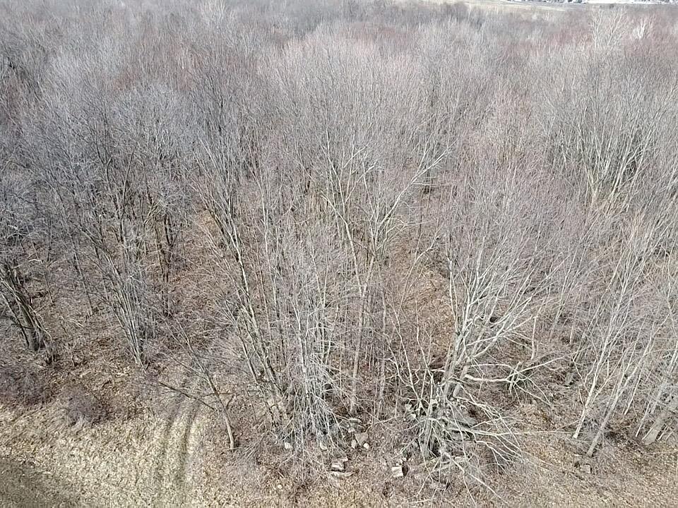 Vl E Dodge Rd, Clio, MI, 48420