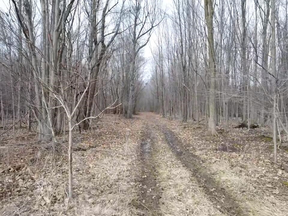 Vl E Dodge Rd, Clio, MI, 48420