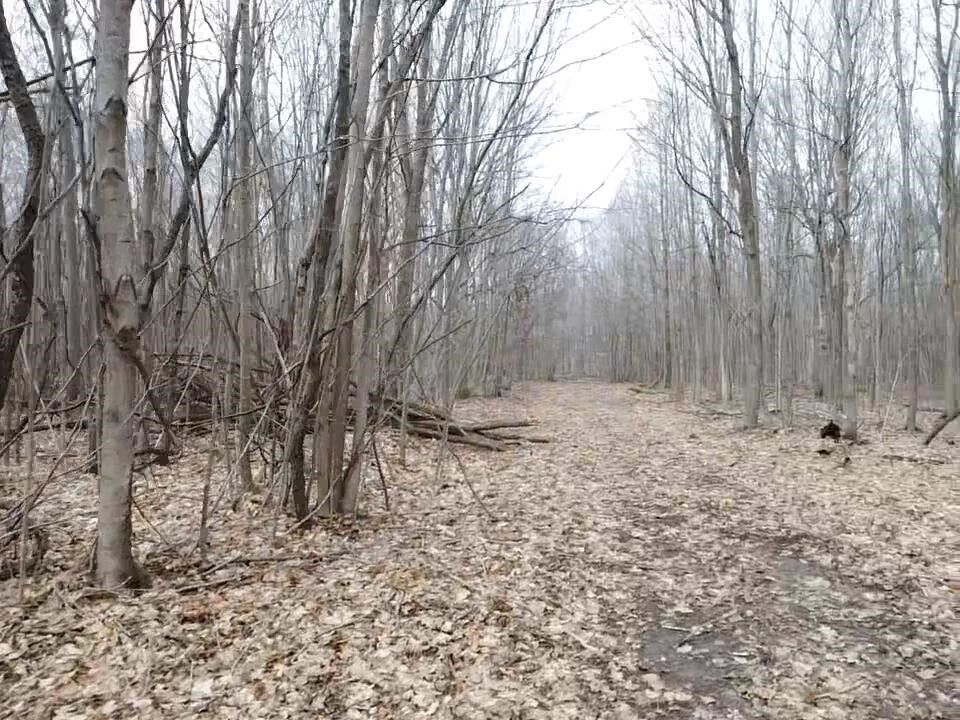 Vl E Dodge Rd, Clio, MI, 48420