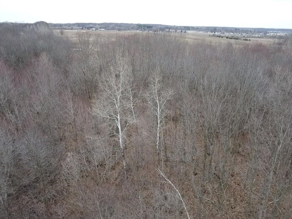 Vl E Dodge Rd, Clio, MI, 48420