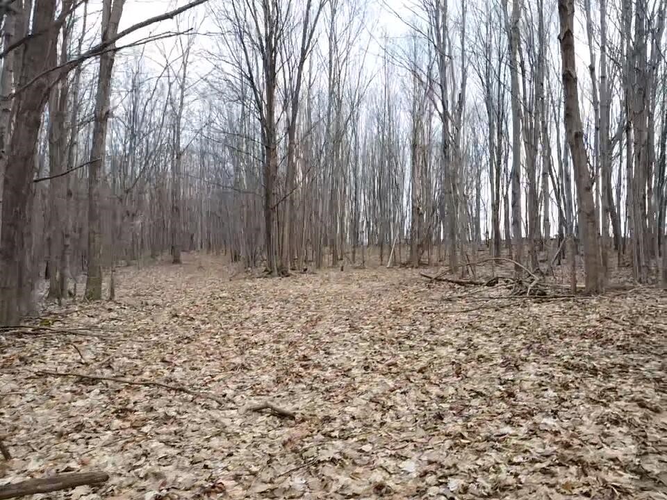 Vl E Dodge Rd, Clio, MI, 48420