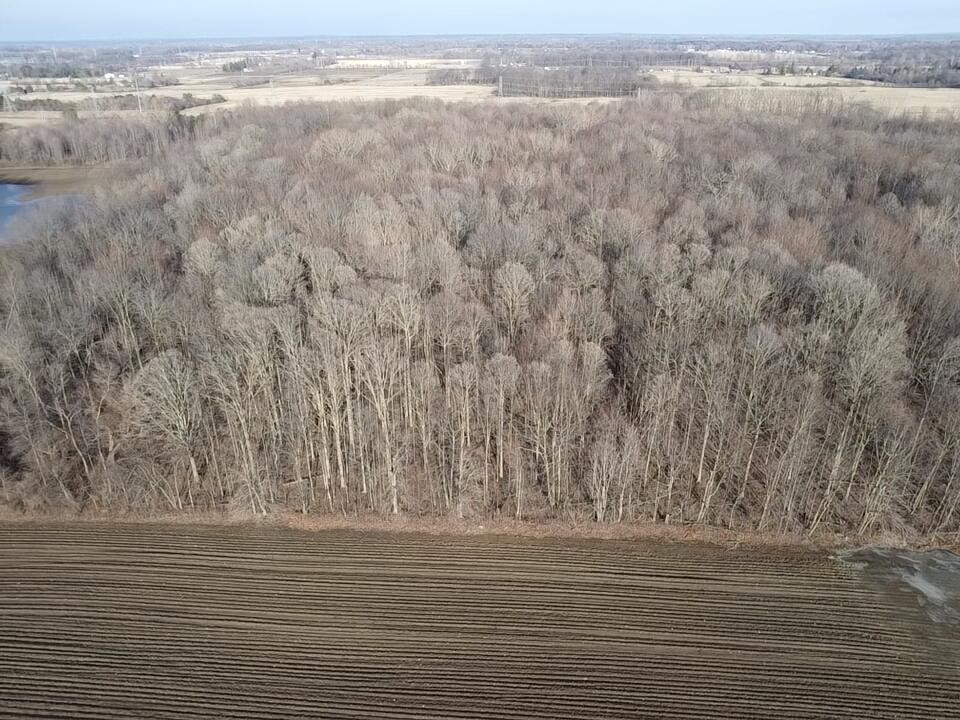 Vl E Dodge Rd, Clio, MI, 48420