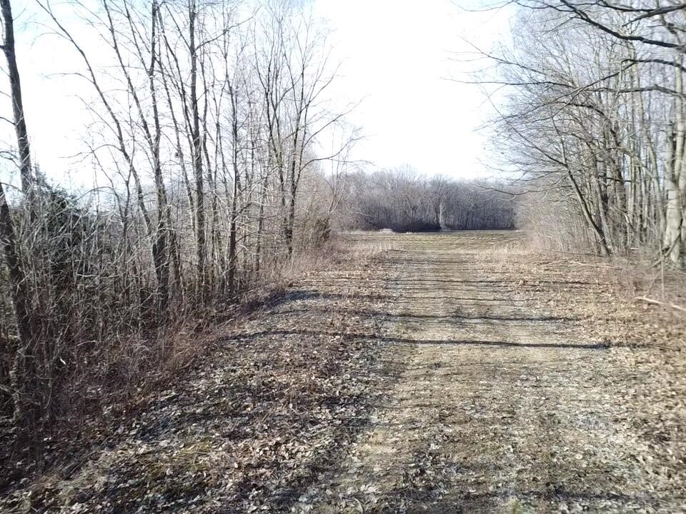 Vl E Dodge Rd, Clio, MI, 48420