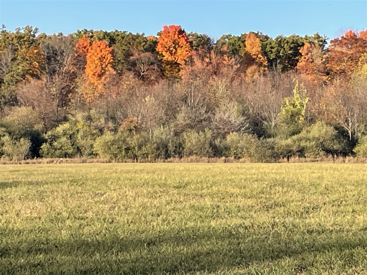 000 VL N Cottonwood Avenue, Big Rapids, MI, 49307-9128