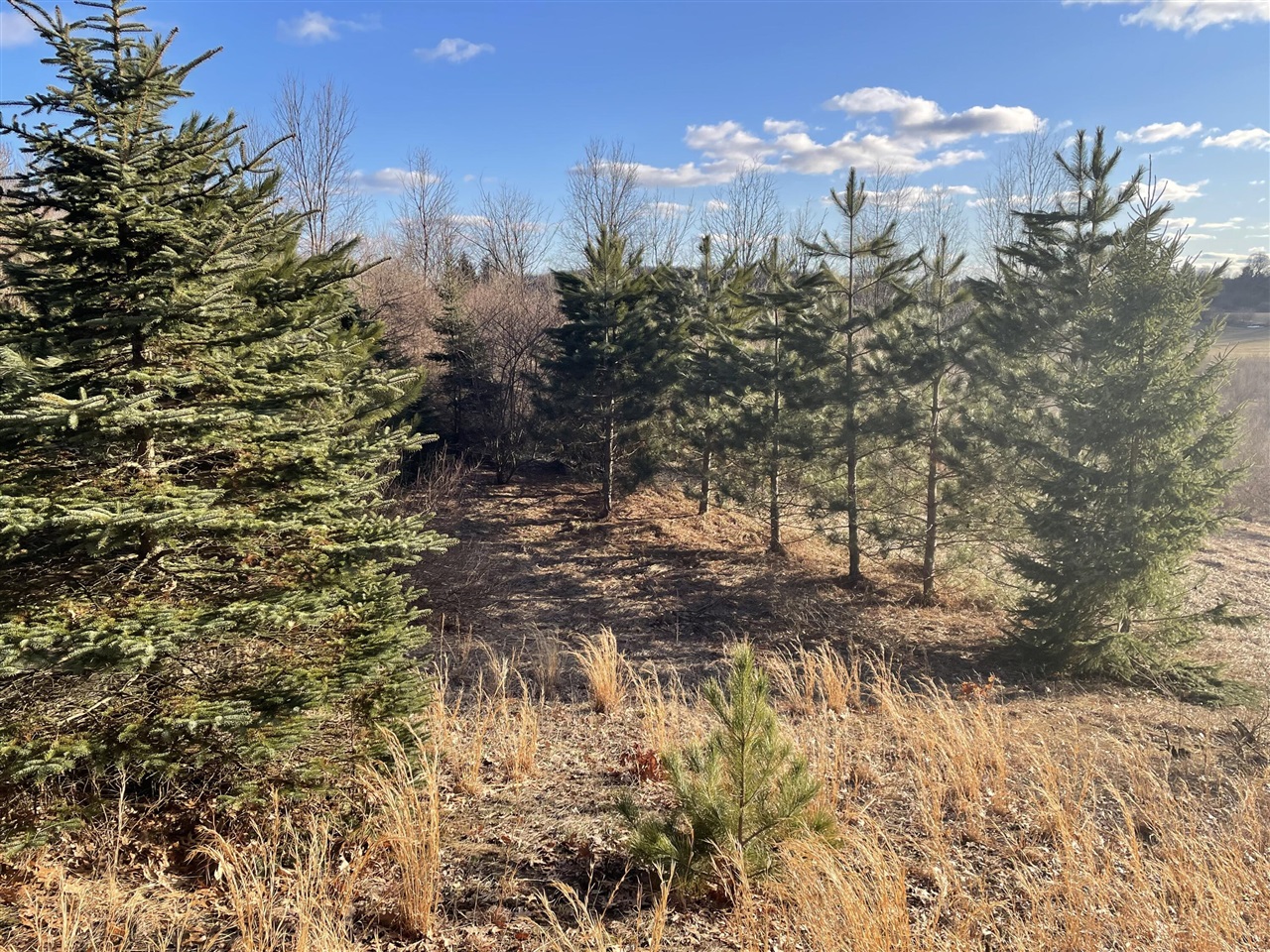 000 VL N Cottonwood Avenue, Big Rapids, MI, 49307-9128