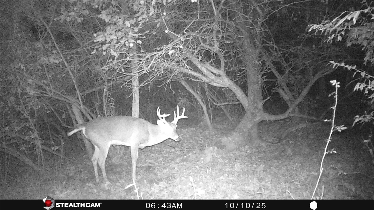 000 VL N Cottonwood Avenue, Big Rapids, MI, 49307-9128