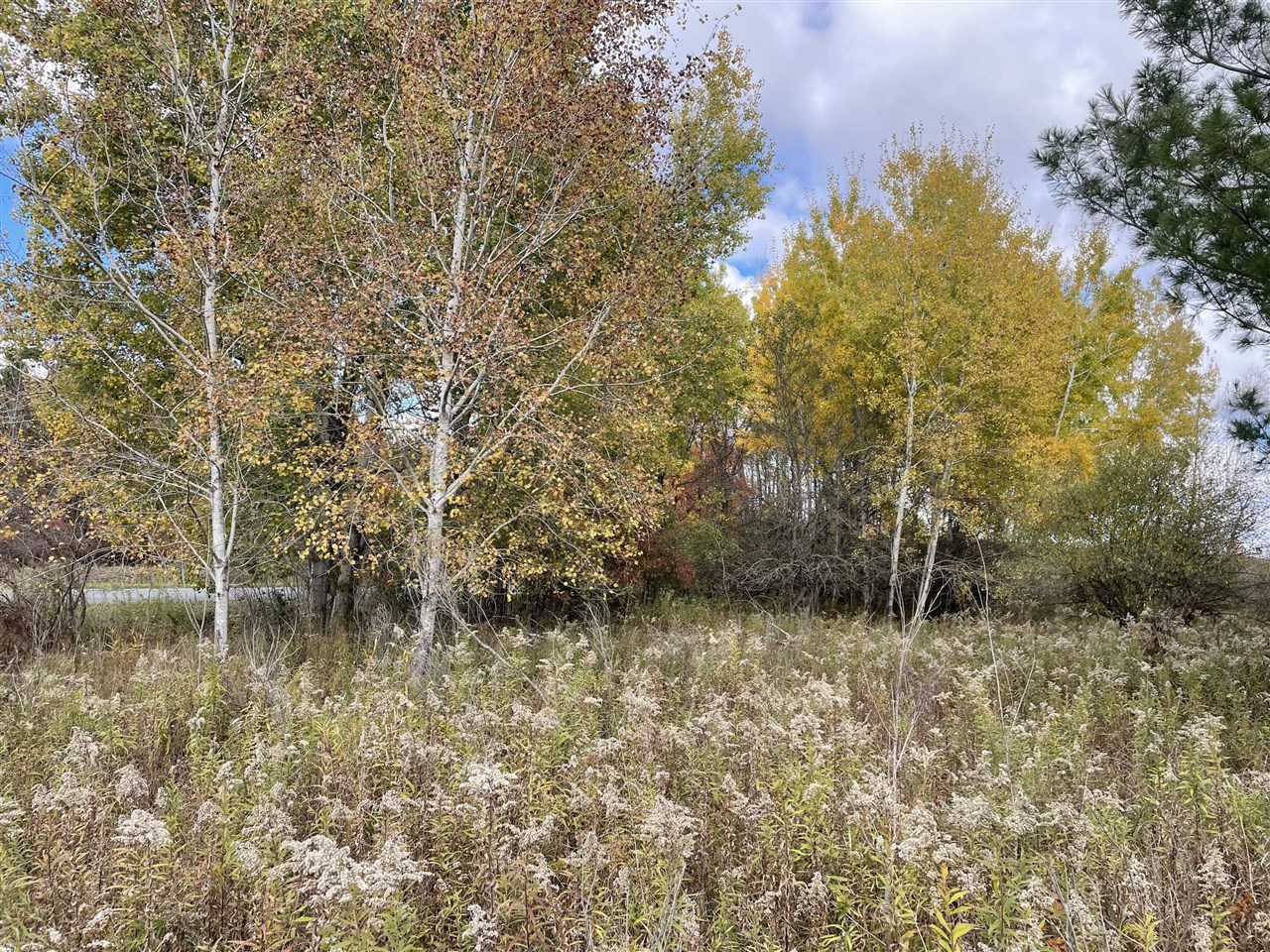 000 VL N Cottonwood Avenue, Big Rapids, MI, 49307-9128