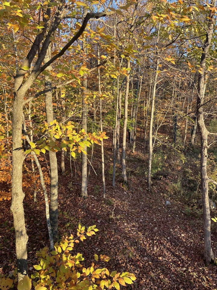 000 VL N Cottonwood Avenue, Big Rapids, MI, 49307-9128