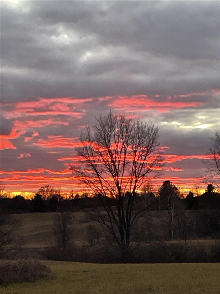 000 VL N Cottonwood Avenue, Big Rapids, MI, 49307-9128